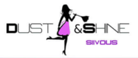 Dust & Shine logo